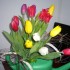 Букет из тюльпанов на 8 Марта — Фото