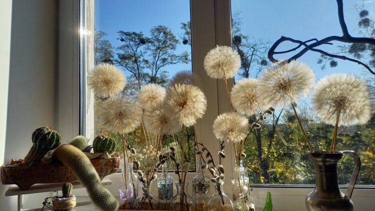 Букет из одуванчиков